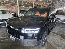 BYD Leopard 7